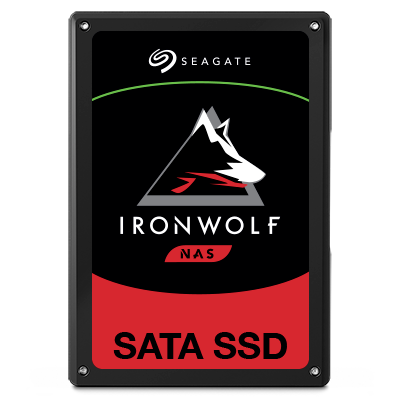 IronWolf 110 SSD 960 GB